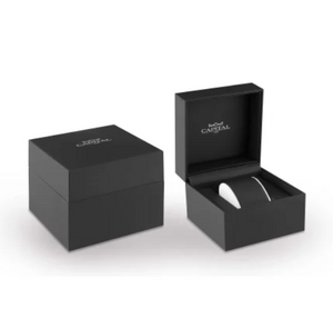 OROLOGIO CAPITAL AX320-05